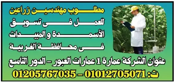 وظائف الوسيط الجمعة اليوم | اعلانات وظائف جريدة الوسيط الجمعه الاسبوعي 06/10/2023