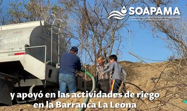 SOAPAMA dar seguimiento al Plan de Reforestación 2021