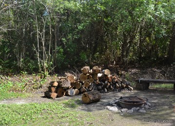 Firepit