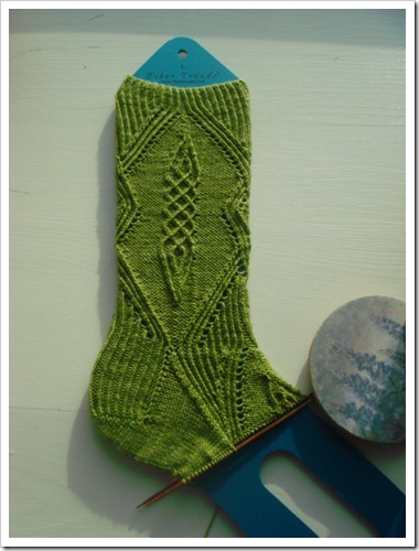 ElegantSocksFootDSC02588