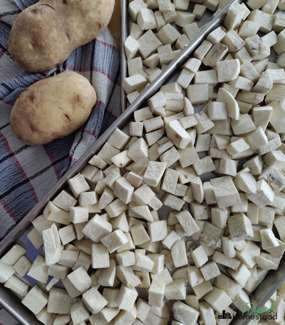 freeze drying potatoes