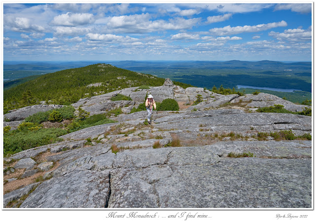 Mount Monadnock: ... and I find mine...