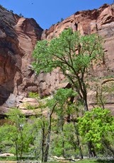 Angel's Landing