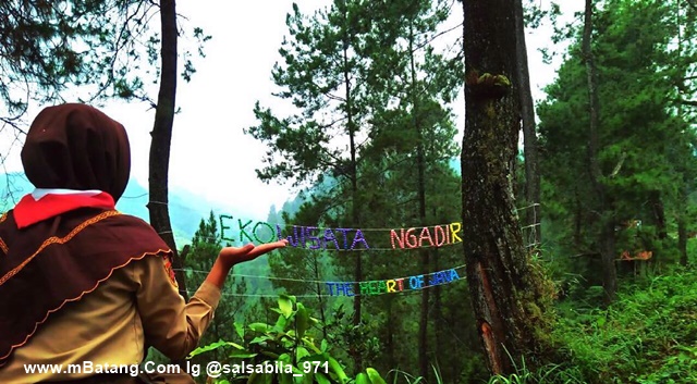 Ekowisata Bukit cinta Ngadirejo Reban