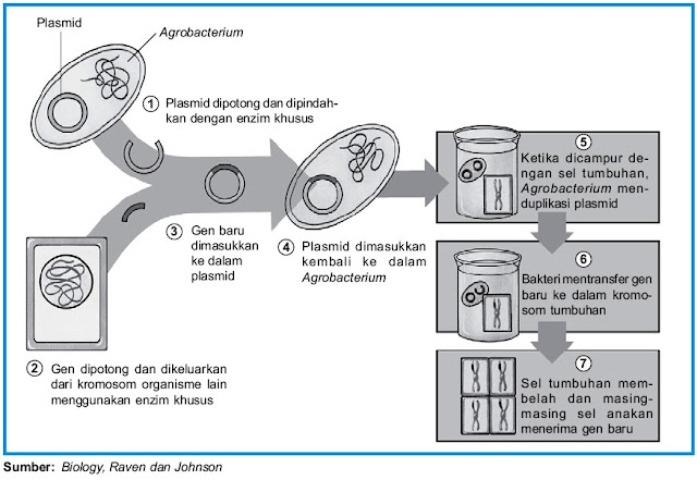 Produk Bioteknologi