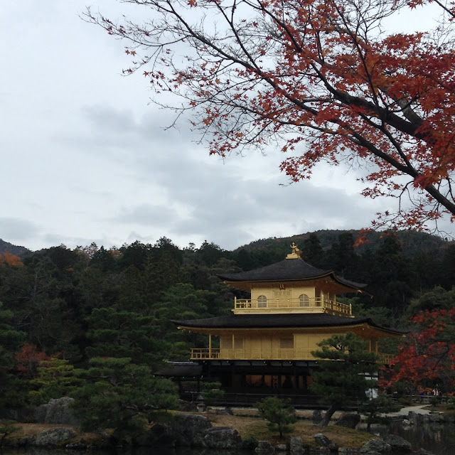 Momiji, Kinkakuji