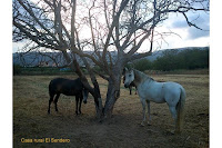 turismo-rural-el-burgo