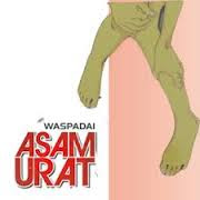 obat herbal manjur asam urat daun sirsak