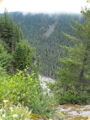Mt. Rainier National Park 161