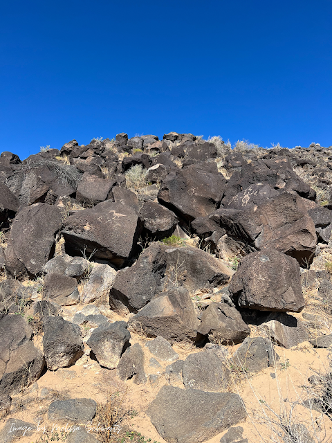 Petroglyphs carved into basalt boulders along the Piedras Marcadas Canyon Trail