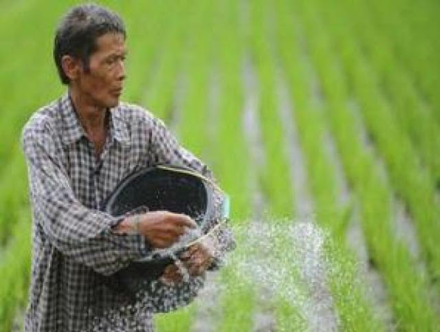 Jiwa Besar Seorang Petani Miskin - Kisah Inspiratif