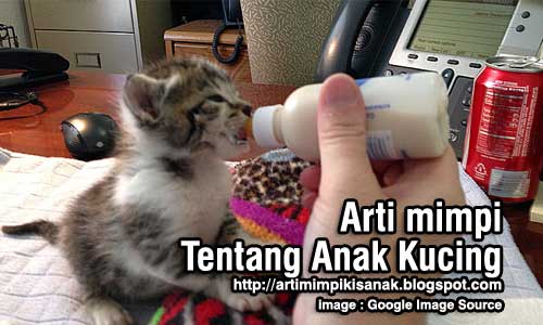 Arti mimpi menolong anak kucing