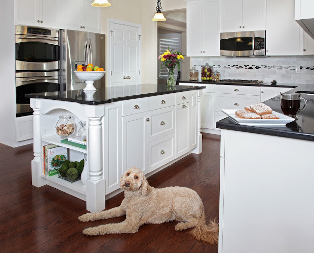 Kitchen Decorating Ideas White Color Paint