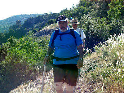 Vessant del Turó del Pujol i al darrere el Sentinella de Mata-rodona