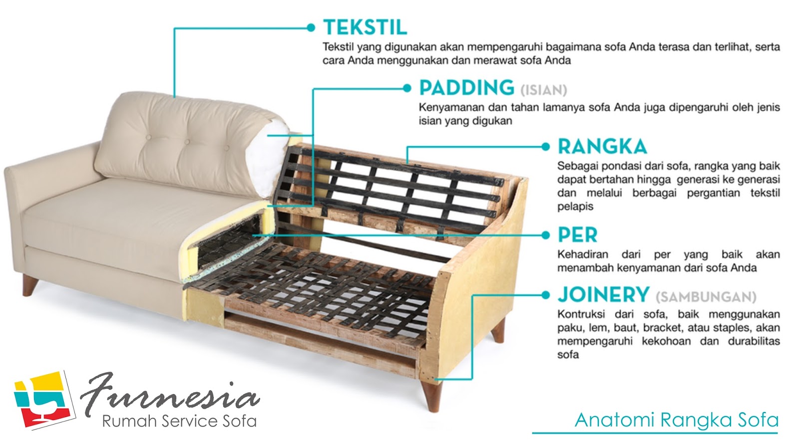 anatomi sofa