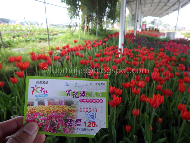 Zhongshe flower market taichung