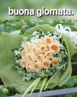 buona giornata