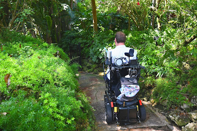 Kyle navigates his wheelchair down a narrow, concrete path. There are rocks to his, most of which are grown over with a bright green plant. On his left, a lot of those plants can also be seen. Though they look like bushes, they may be overgrown rocks as well. The path gently curves to the left, and a black, wrought iron gate, lays open. Larger trees and ferns are growing closer to the gate.