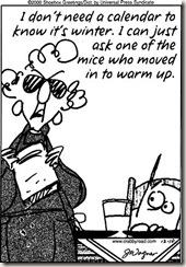 cold mice