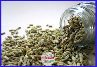 The-Benefits-Of-Fennel