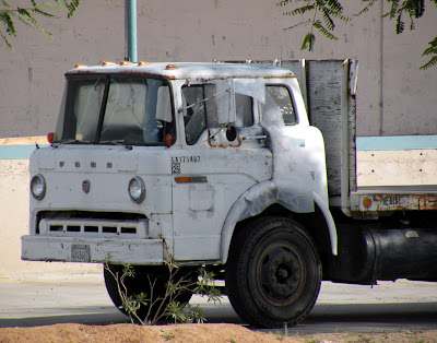 Another old Ford COE potential