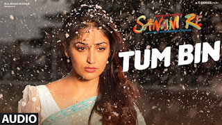 TUM BIN Lyrics and mp3 song download – sanam re movie