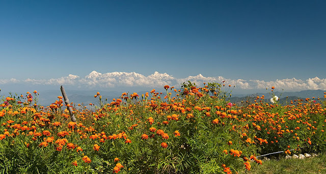 Mukteshwar