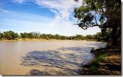 Wilson River Noccundra