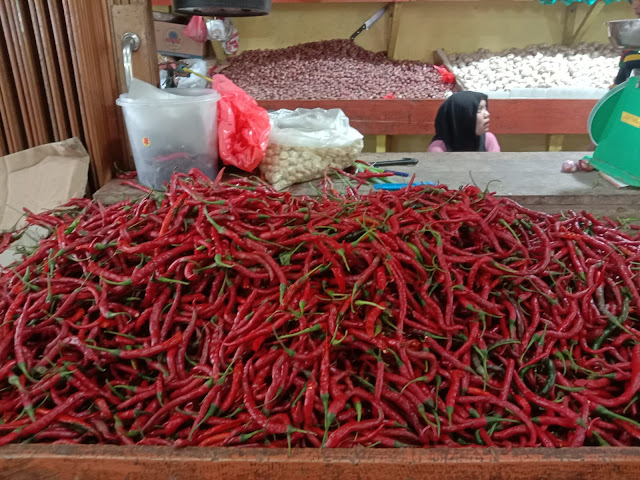 Harga Cabe di Karimun Melonjak Naik, Dinas Pangan dan Pertanian Karimun Akan Import Cabe dari Aceh