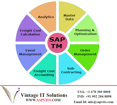 http://www.sapvits.com/project/sap-tm-online-training/