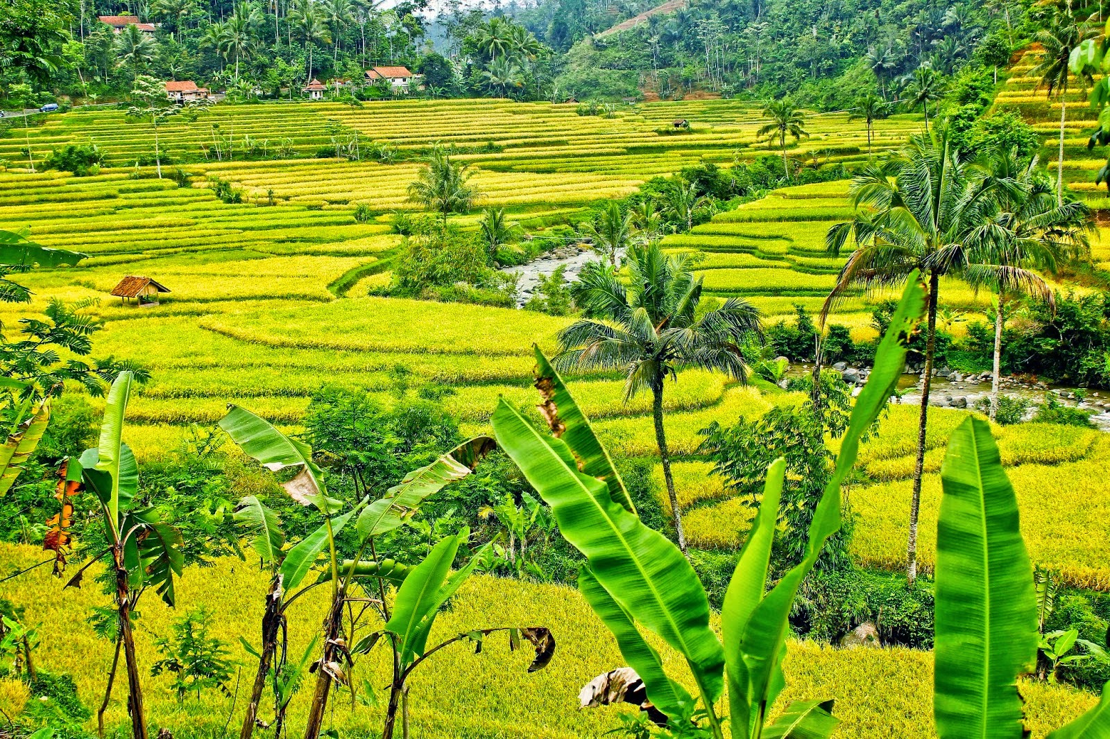  Gambar Pemandangan Terindah di Indonesia Foto Gambar Terbaru