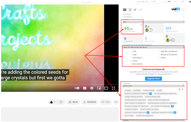 YouTube Video VidIQ SEO