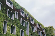 A building with many windows covered with plants.