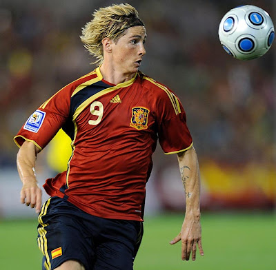 Fernando Torres FIFA World Cup 2010 Pictures