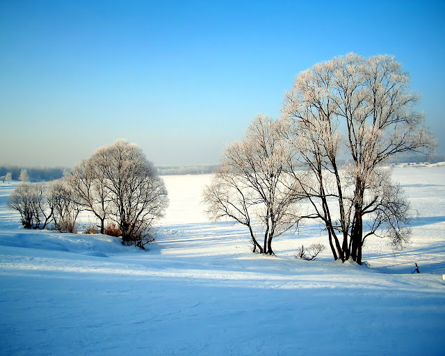 Hermoso Invierno - Beautifull Winter