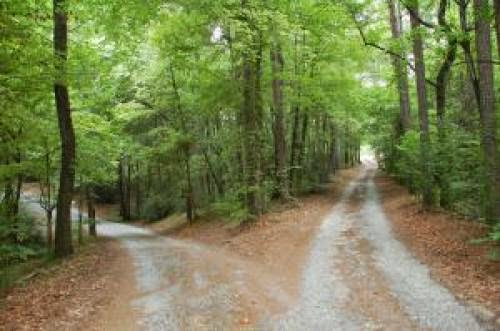 Principles Of Discernment