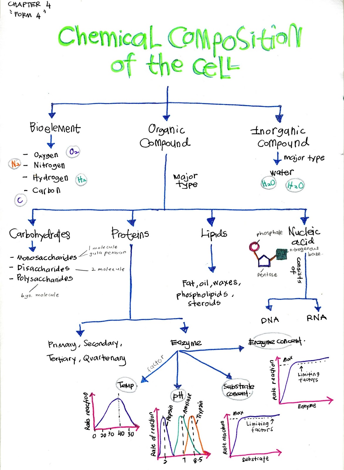 Biology A+: Nota Kreatif Biologi (Credit to Mr Shahril-Lizan)