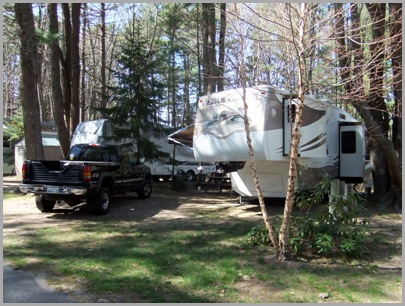 Site Number 7