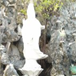 View album