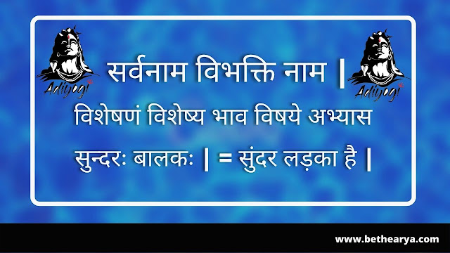 सर्वनाम विभक्ति नाम | विशेषणं विशेष्य भाव विषये अभ्यास