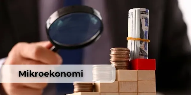 Mikroekonomi