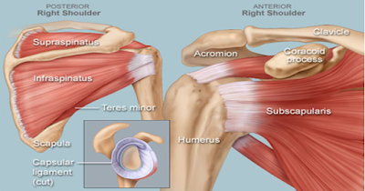 The Cause of Shoulder Injuries During Car Accidents - El Paso Chiropractor
