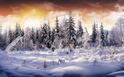 Winter Backgrounds