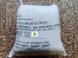 Benih padi yang dibeli   SAD HANDAYANI Purworejo, Jateng.  (Setelah packing karung ). 