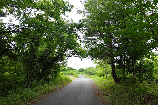 鳥取県米子市淀江町西原 つぼかめ山