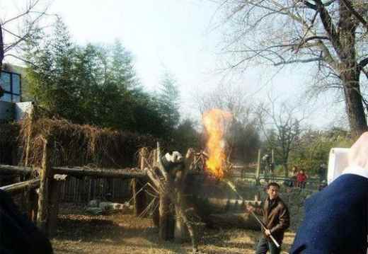 Animal Attacks On Human : Amazing Photos Collection Part 2 Animal Attacks On Human : Amazing Photos Collection Part 2