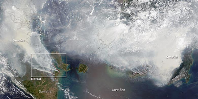 Foto Satelit NASA Ungkap Parahnya Kabut Asap Indonesia 