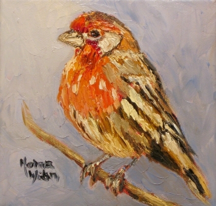 Red Finch Bird