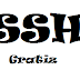 SSH Gratis 29 Januari 2014 Ada Server SG.GS Gan 