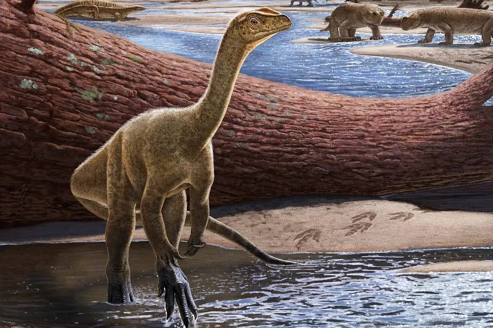 Mbiresaurus raathi descubren el dinosaurio más antiguo de África